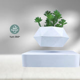 GOMINIMO Magnetic Levitating Plant Pot White