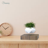 GOMINIMO Magnetic Levitating Plant Pot Dark Brown Base