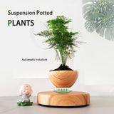 GOMINIMO Magnetic Levitating Plant Pot Oak