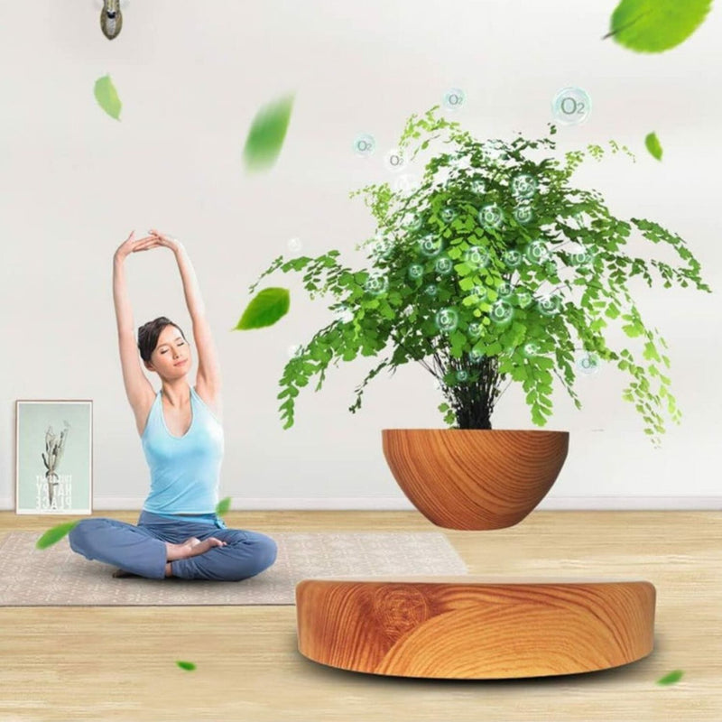 GOMINIMO Magnetic Levitating Plant Pot Oak