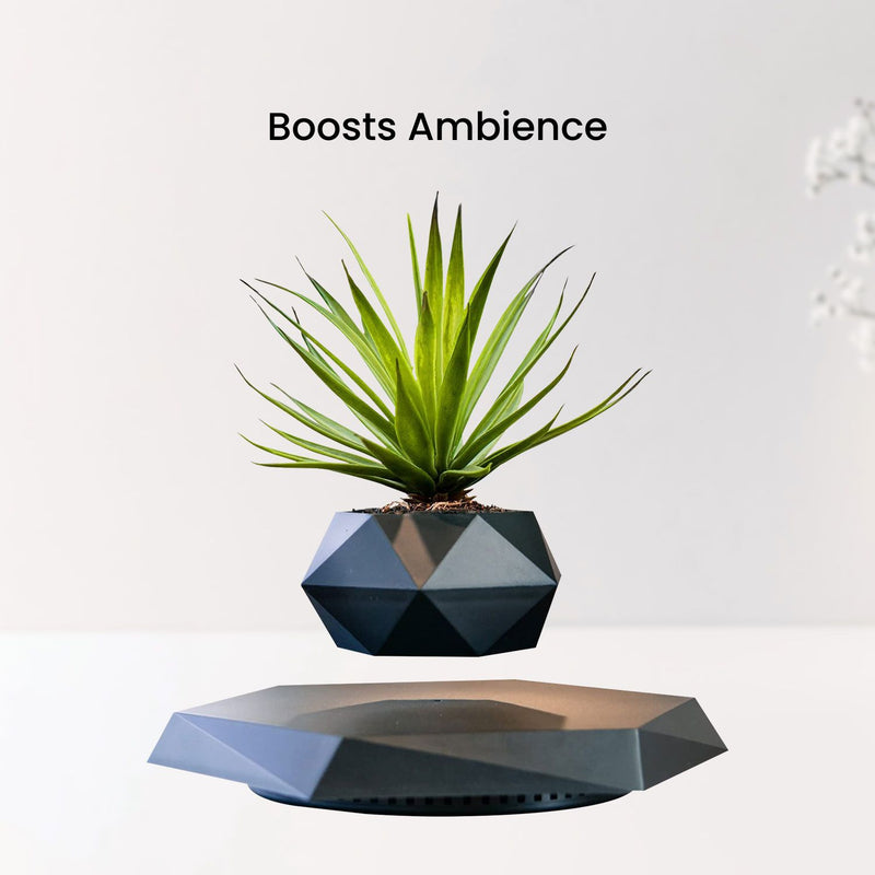 GOMINIMO Magnetic Levitating Plant Pot Black