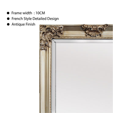 Deluxe French Provincial Ornate Mirror - Champagne - X large 210cm x 110cm